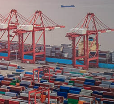 進(jìn)口報(bào)關(guān)公司為何如此受歡迎