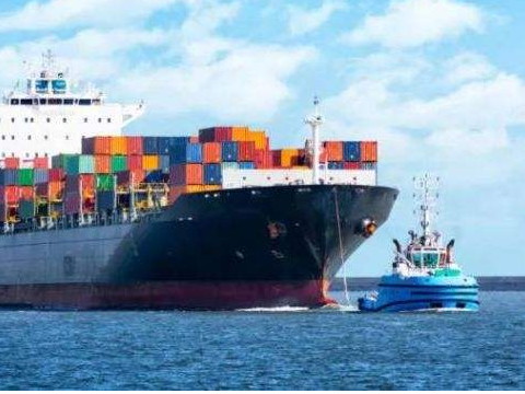 進口報關代理應當有哪些素養(yǎng)能力？