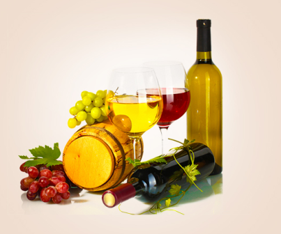 進口海運代理機構(gòu)有哪些特色